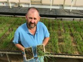 To speak at international symposium in Denver, USA on control of weed seeds: School of Agricultural and Wine Sciences at Charles Sturt University, Wagga Wagga Graham Centre researcher Dr John Broster. Photo: supplied