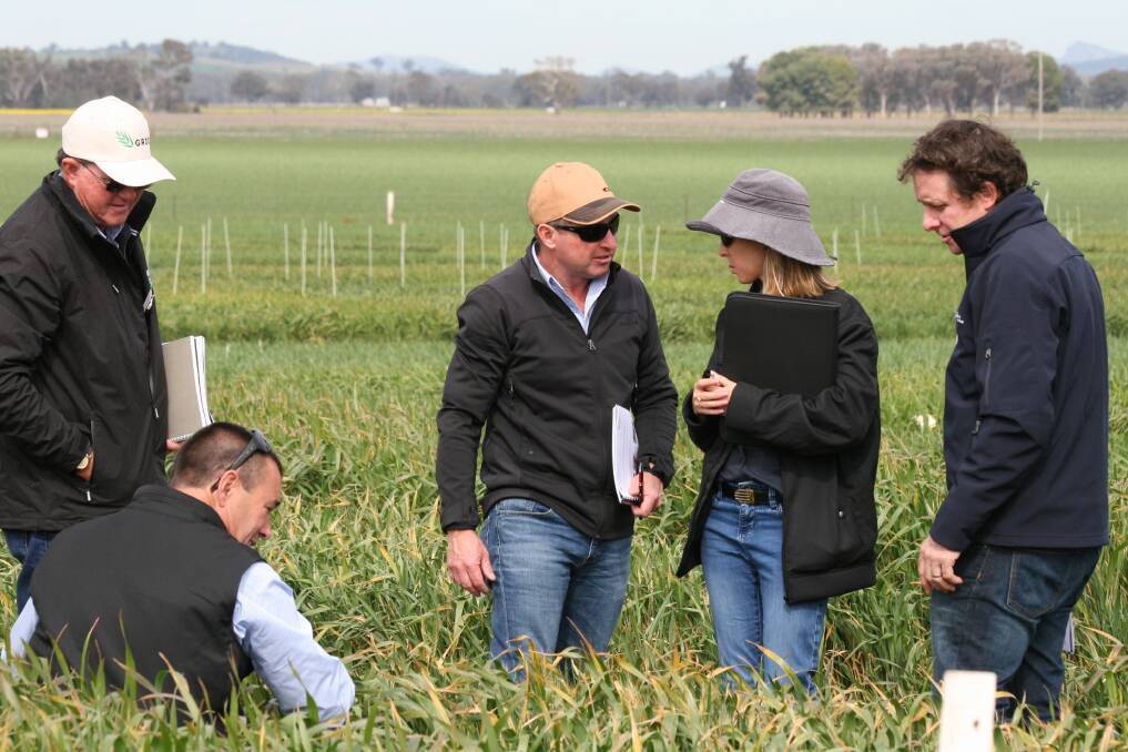 The tours are critical because they allow GRDC Northern Panel members to engage directly with industry in a ‘two-way conversation’ that allows the GRDC to develop an in-depth understanding of the challenges growers face in the paddock.
