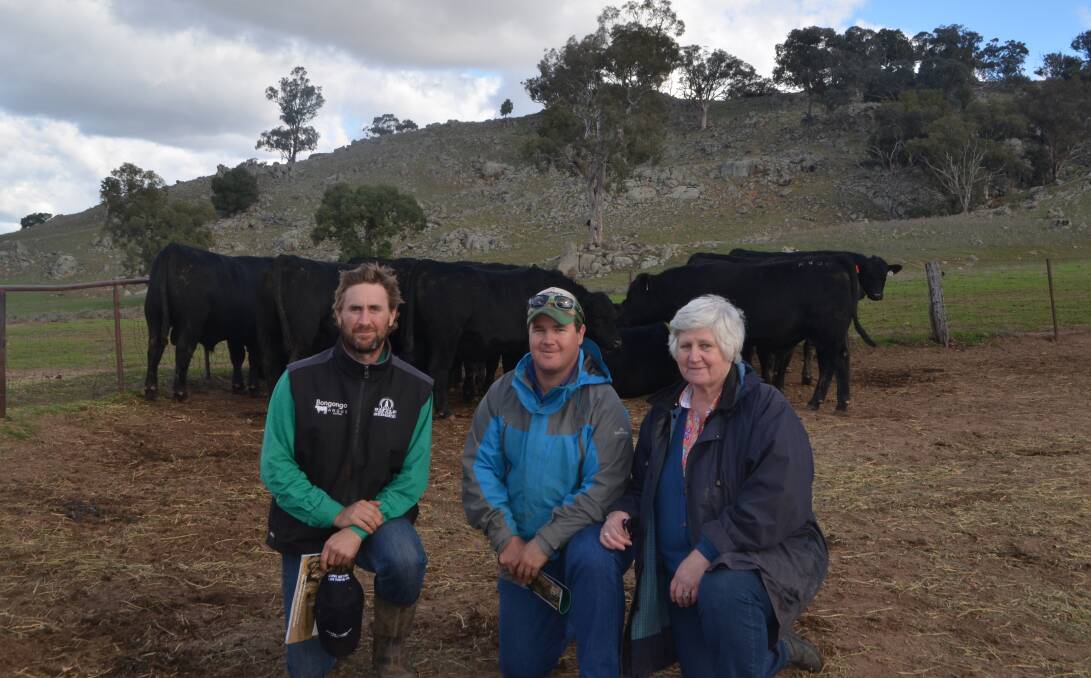 Tom Graham, Bongongo Angus, Coolac, with Robbie and Carol Harris, "Springvale", Coolac, in the yard with the top priced bull purchased by the Harris family. The repeat clients bought the young sire to join to their heifers.
