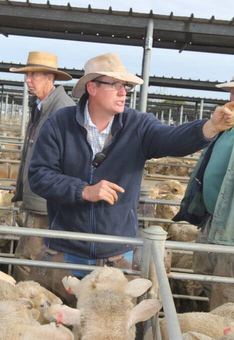 THE HAMMER FALLS: Auctioneer Isaac Hill takes the bids for GJ Hulm at the Wagga Livestock Marketing Centre during the sheep and lamb sale.
