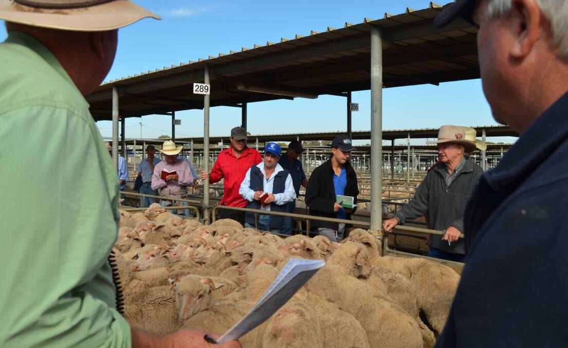 EYE ON THE MARKET: Buyers, livestock agents and vendors are pictured at the Wagga sheep and lamb sale. 