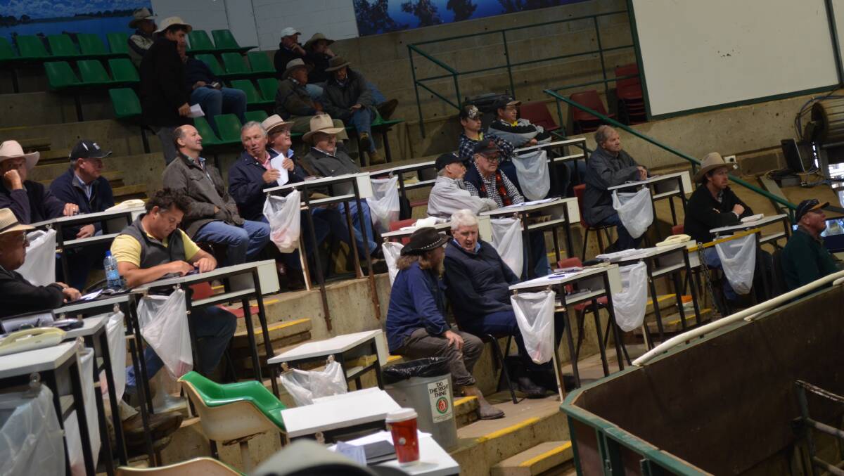 Buyers sit ringside at the Wagga cattle market. Picture: Nikki Reynolds 