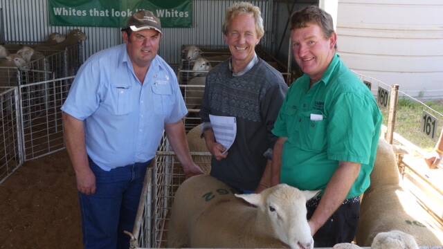Livestock agent David Hill, buyer Greg Doyle and Mark Yates of the Barwon Stud at Yerong Creek. 