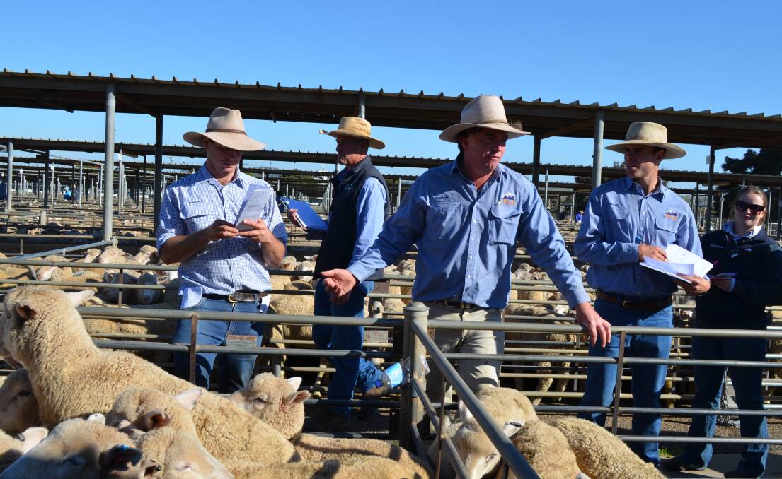 James Tierney of Riverina Livestock Agents takes the bids. Picture: Nikki Reynolds 