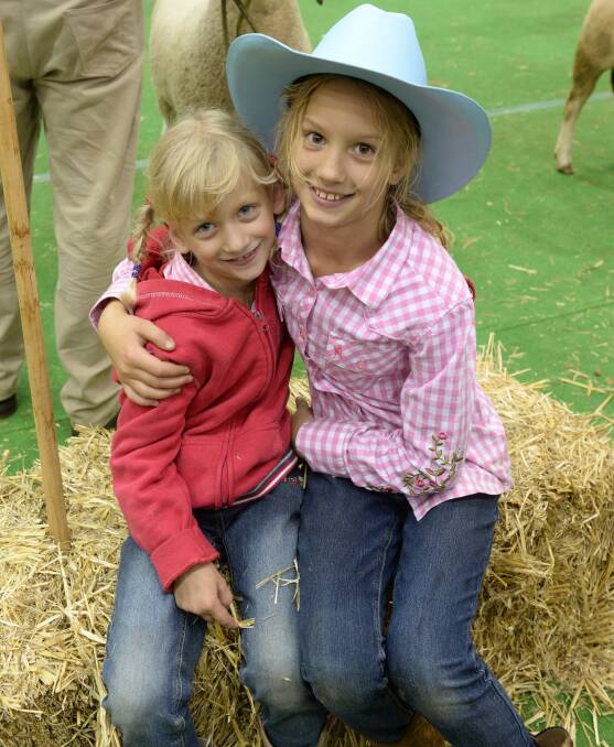 WATCHING THE SHEEP JUDGING: The Sutton girls Christine, 7,  and Elizabeth , 9, of Wattle Farm Border Leicester Stud, Temora.