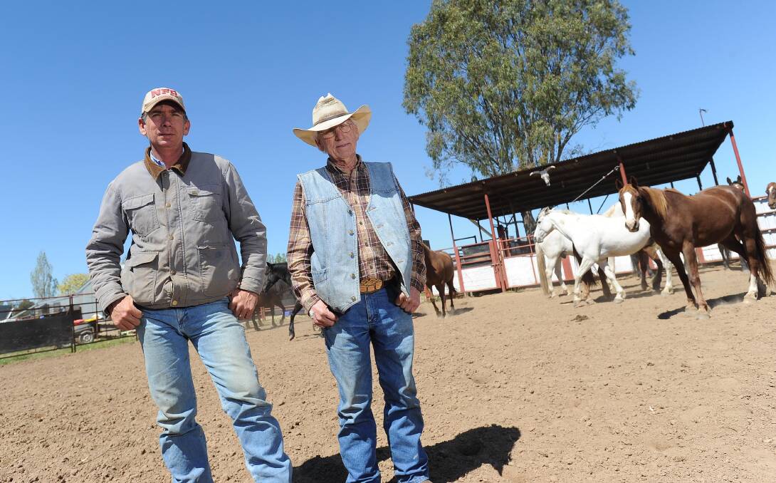 BREEDING THE FINEST: Jarrad Gill and John Gill prepare for the upcoming Wagga Pro Rodeo on February 4. Picture: Laura Hardwick 