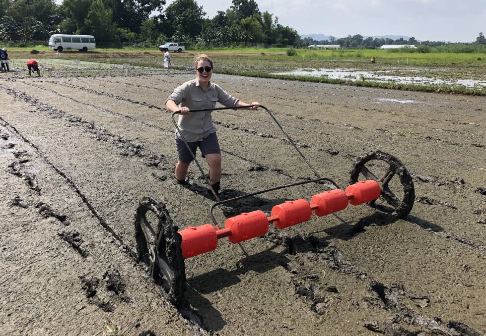 INTERNATIONAL SPOTLIGHT: Charles Sturt PhD student Rachael Wood gets a new view of rice research as part of an international training program in the Philippines.