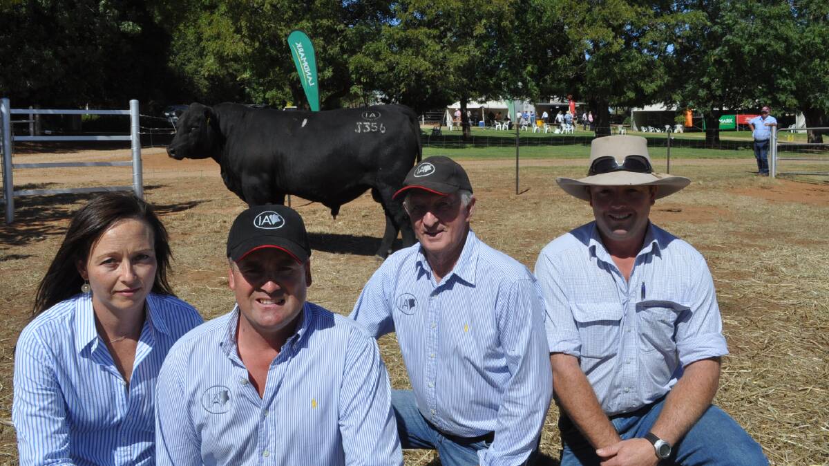 Corey and Prue Ireland, Irelands Angus, Wagga, with stud adviser Willie Milne and top-priced buyer Stewart Moroney, Holstons Pastoral, Ensay, Victoria, who paid $105,000 for Irelands Jeopardy J356. Picture: Brett Tindal
