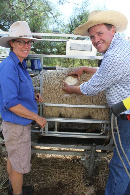 MEASUREMENT COUNTS: Sally Martin of Young and Craig Wilson of Wagga take samples from wethers. Picture: Nikki Reynolds