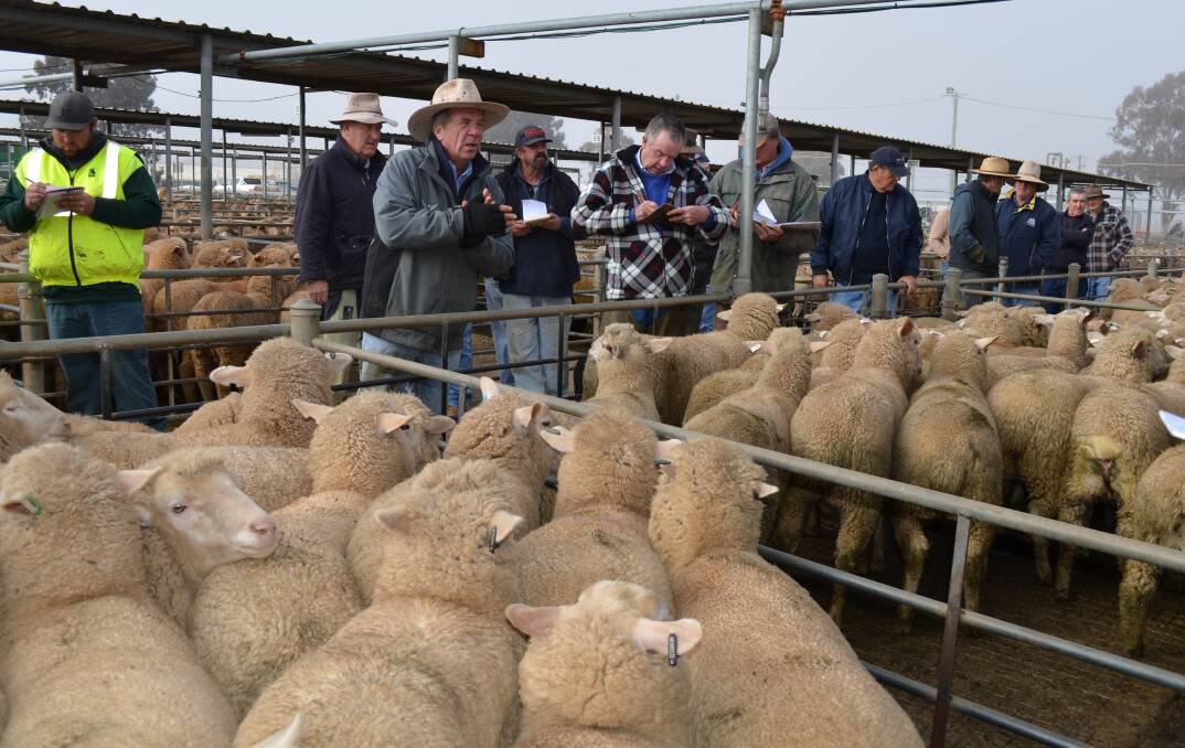 AT THE RAIL: Mark Logan takes the bids for RH Blake and co at the Wagga sheep and lamb sale. Picture: Nikki Reynolds 