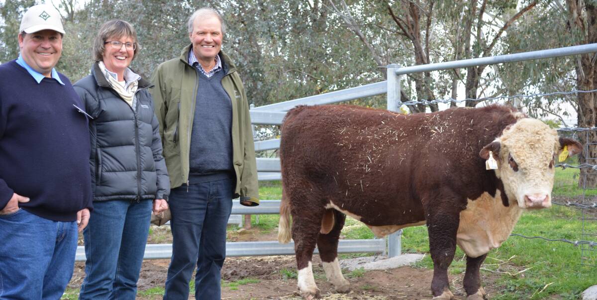 BASS STRAIT NO BARRIER: Wirruna Poll Herefords principal Ian Locke, Holbrook with buyers Katrina and Bruce Archer, Chester Poll Herefords, Westwood, Tasmania. Picture: Simone Norrie