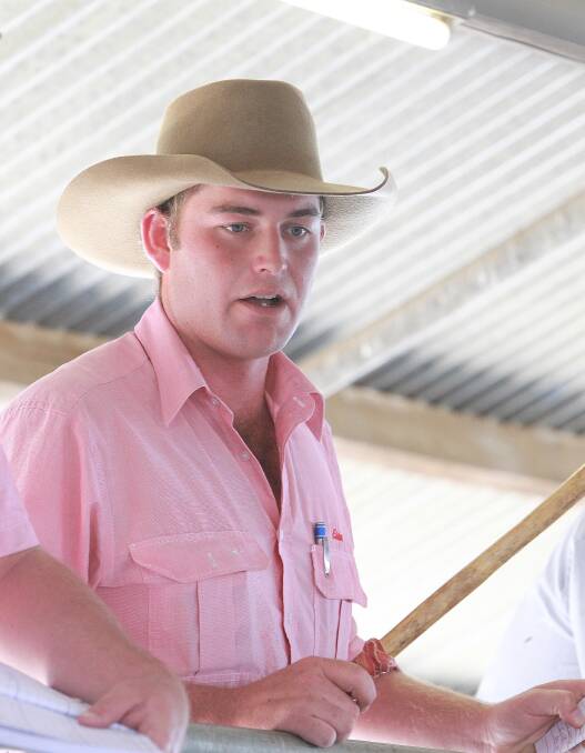 Elders Wagga auctioneer Will Stoddart is at the rail at the Wagga cattle sale.