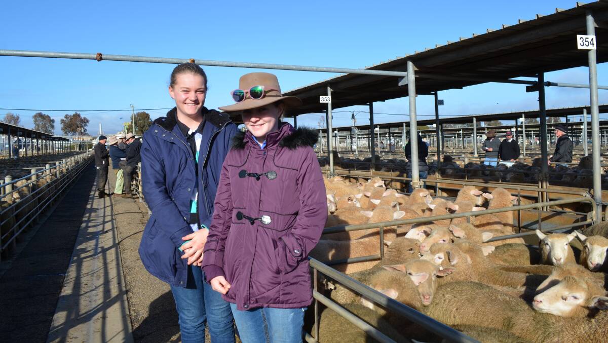 MARKET INTEREST: Sisters Tahlia and Abbey Heffernan of "Curranbrobinyah", at Junee are pictured at the Wagga sheep and lamb sale. Picture: Nikki Reynolds