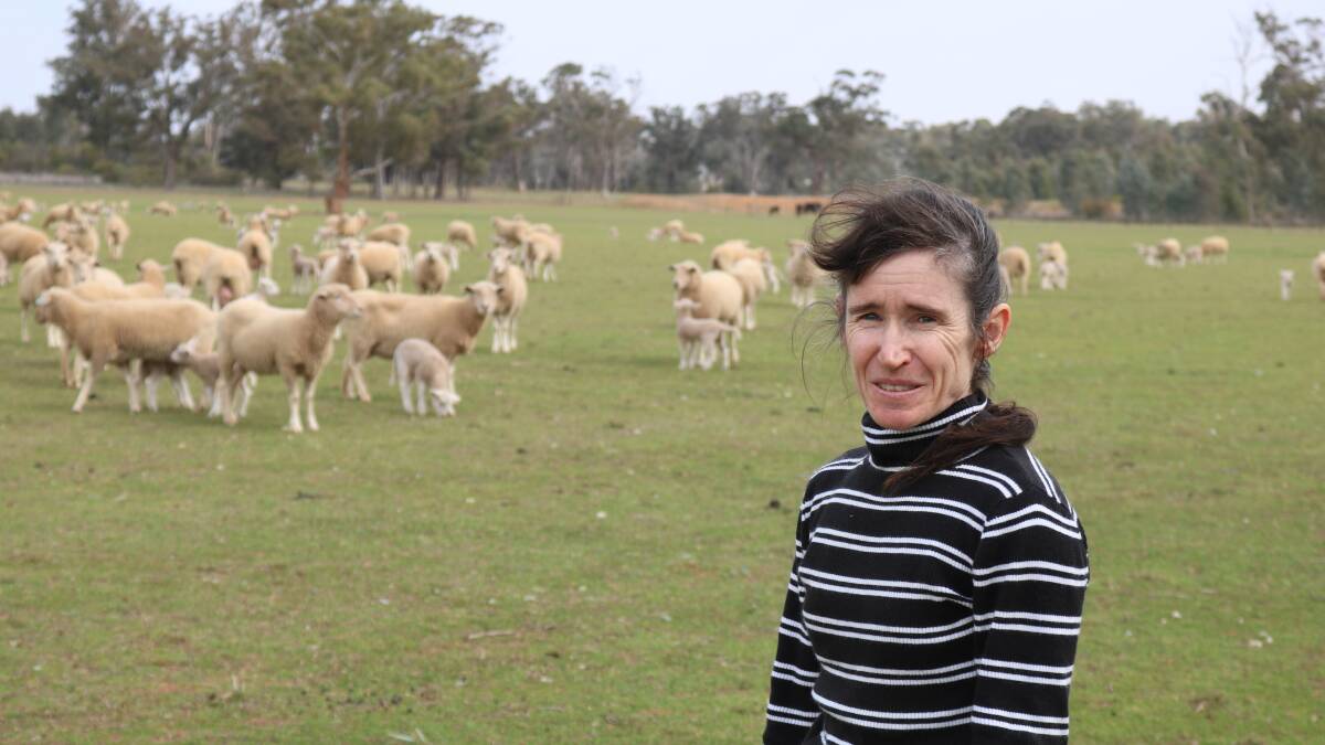 CONTAINMENT: Research leader and Charles Sturt University sheep production researcher Dr Susan Robertson said recent poor seasons have meant producers have needed to feed ewes in drought containment areas. Picture: Supplied