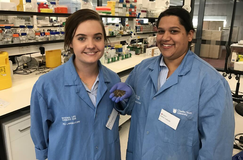 HEALTH BENEFITS: PhD students Kiara Thompson and Esther Callcott investigate if the bioactive compounds in whole grain coloured rice. 