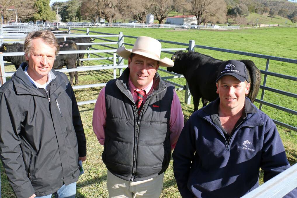 RESULTS DRIVEN: Mark Boileau, Bannister Station manager, Goulburn, Daniel Tarlinton, Elders Crookwell and Sam Lucas, Reiland Angus, Tumut, with the top bull. 