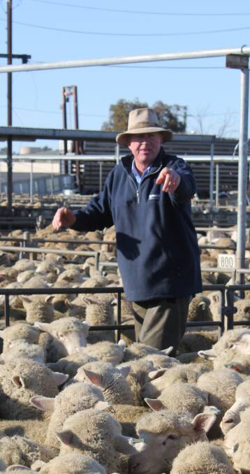 Auctioneer Anthony Cummins takes the bids at the Wagga sheep and lamb sale. 