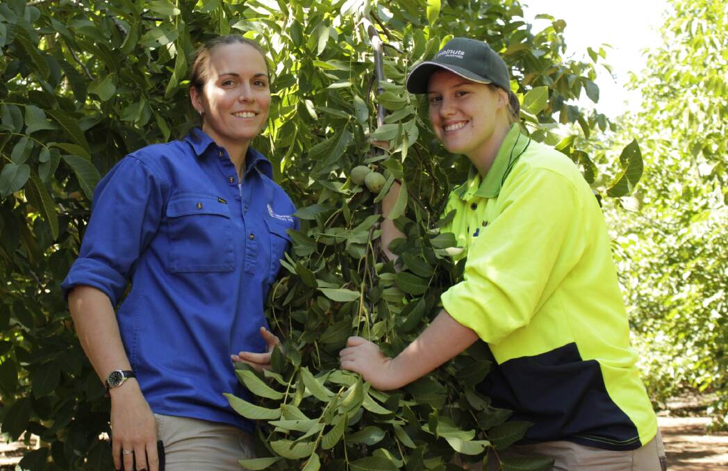 INDUSTRY GROWTH: Jacquelyn Simpson, Walnuts Australia and Emily Tubb inspect this year’s crop.