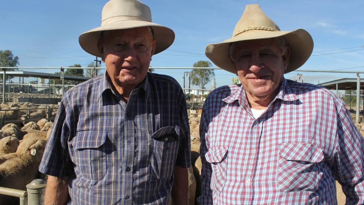 'SALE-O, SALE-O': Bill Gestier, Downside and Don "Jingles", McKenzie of Wagga catch up at the Wagga sheep and lamb sale. Pictures: Nikki Reynolds