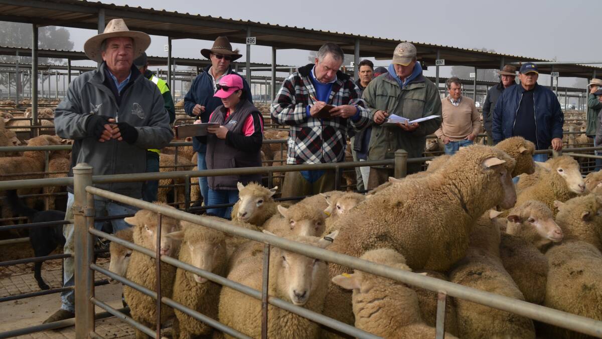 IN THE BOX SEAT: Livestock agents take the bids at the Wagga market. Picture: Nikki Reynolds 