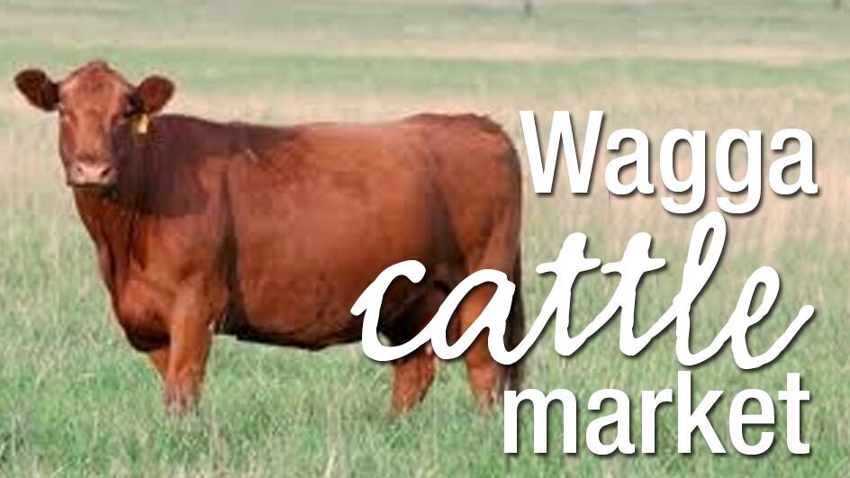 Cattle prices 5c to 7c cheaper at Wagga