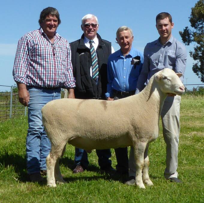 The top price white Suffolk Stud Ram  Warburn 329.15 
with Ian Kyle, Kevin Norris of Landmark and Mark Amando and Mark Dissegna. 