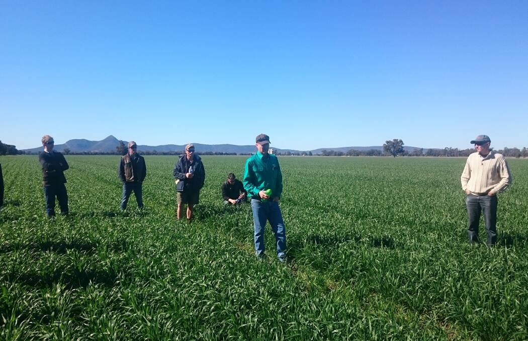 SHARING INSIGHTS: Warwick Holding of the eastern Riverina shows visitors through winter crops during the WeedSmart field day. 