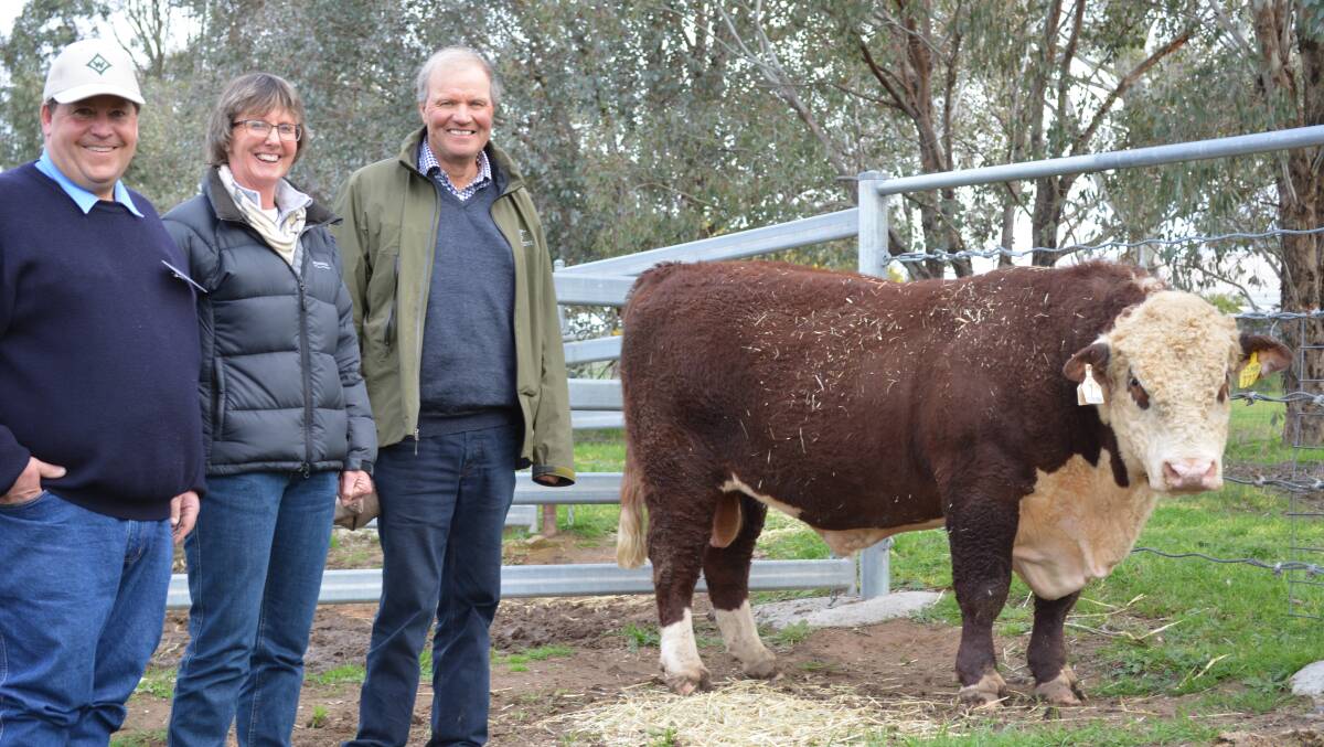 Wirruna Poll Herefords principal Ian Locke, Holbrook, pictured with top buyers Katrina and Bruce Archer, Chester Poll Herefords, Westwood, Tasmania. Picture: Simone Norrie