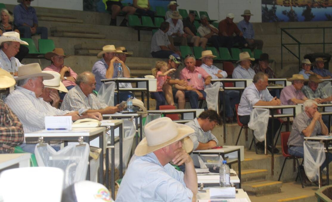 PLACING THEIR BIDS: Buyers are in the box seat at the Wagga Livestock Marketing Centre during the cattle sale. Picture: Nikki Reynolds
