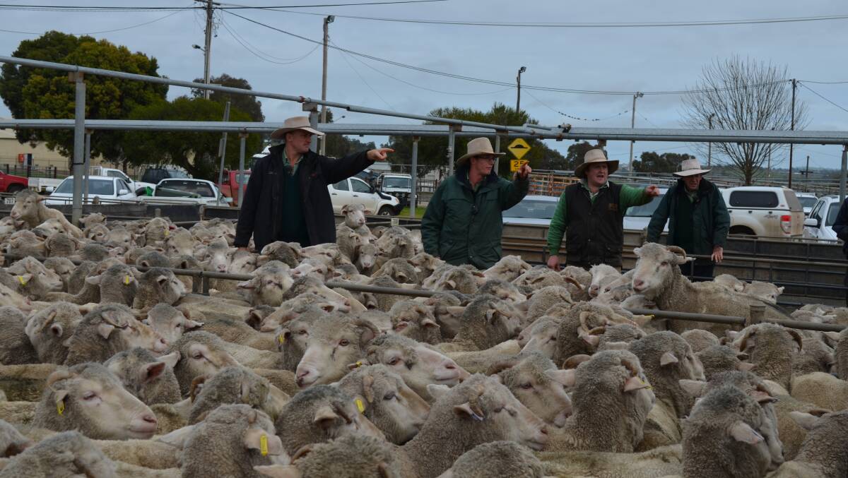 TEAM WORK: Auctioneers from Landmark Wagga sell the lots during the Wagga sheep and lamb sale at the Wagga Livestock Marketing Centre. Picture: Nikki Reynolds 
