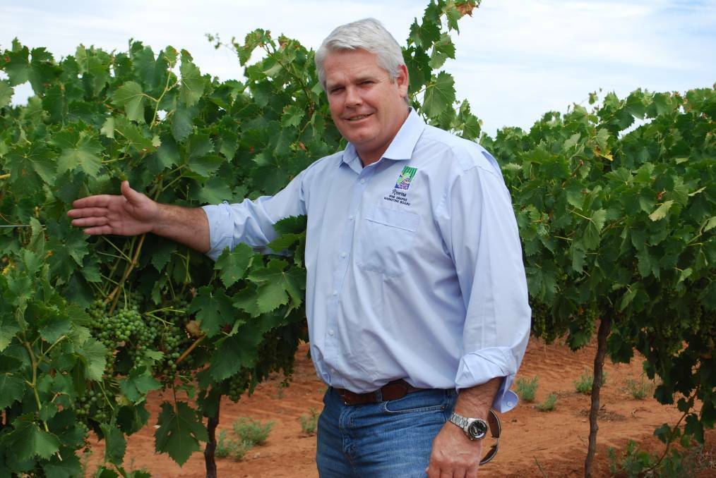 Riverina Wine Grapes Marketing Board chairman Brian Simpson is concerned about the impacts of the controversial backpacker tax. 