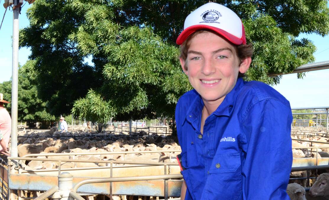 'SALE-O, SALE-O': Jim Hogan, 14, of "Greenhills", Bethungra helps out at the sheep and lamb sale. Picture: Nikki Reynolds