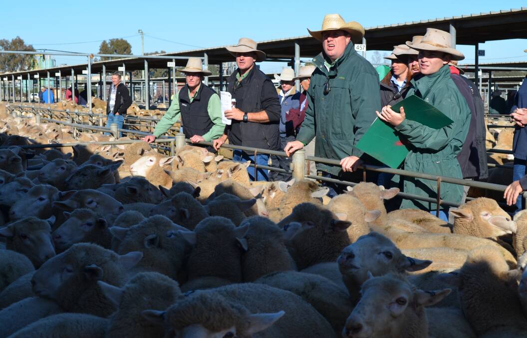 BIDS CLIMB: The Landmark Wagga team is at the rail during the Wagga sheep and lamb sale. Picture: Nikki Reynolds 