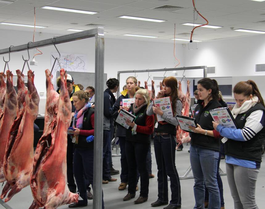 ASSESSING THE CARCASES: Students show their skills during meat judging training in preparation for the Intercollegiate Meat Judging event.