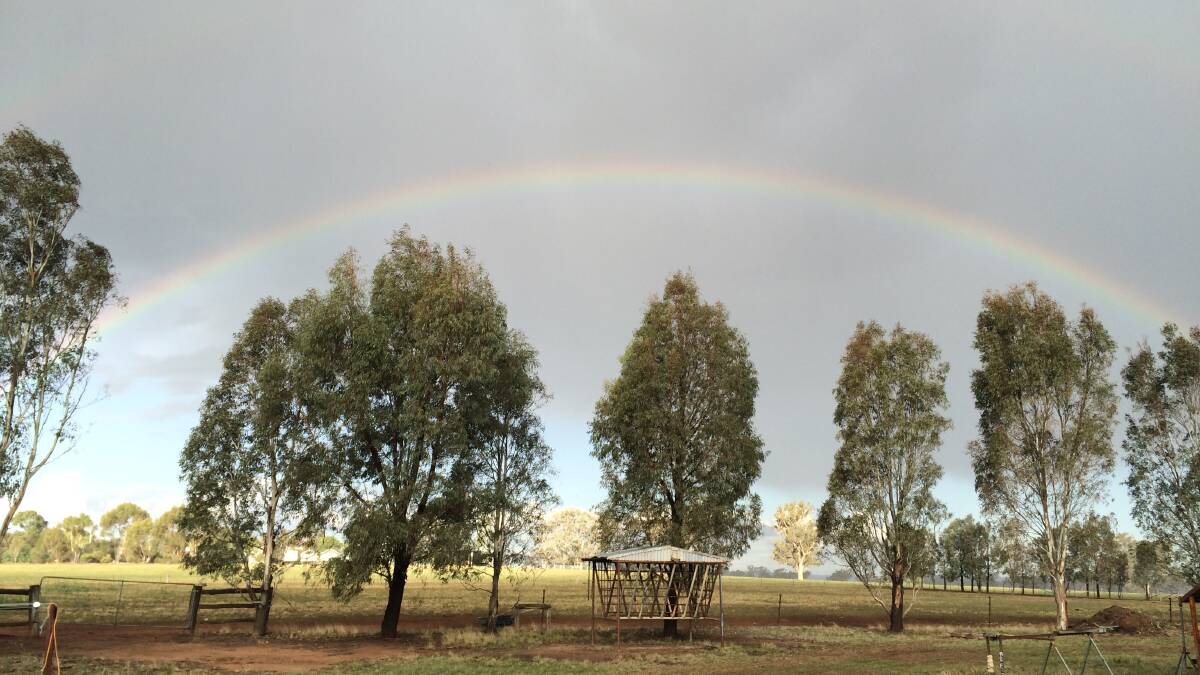 Storms on Sunday were a welcome follow up to the 45mm of rain which fell throughout the Riverina. Picture: Nikki Reynolds