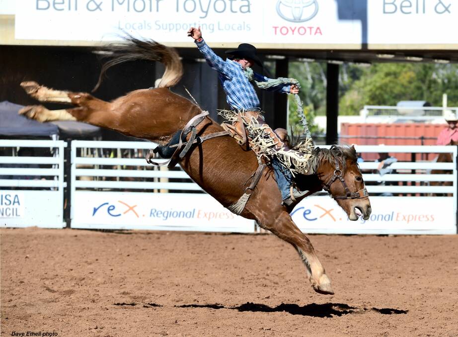 TAKING THE REINS: Brad Pierce of Tooma competes in the saddle bronc. Picture: Dave Ethell 