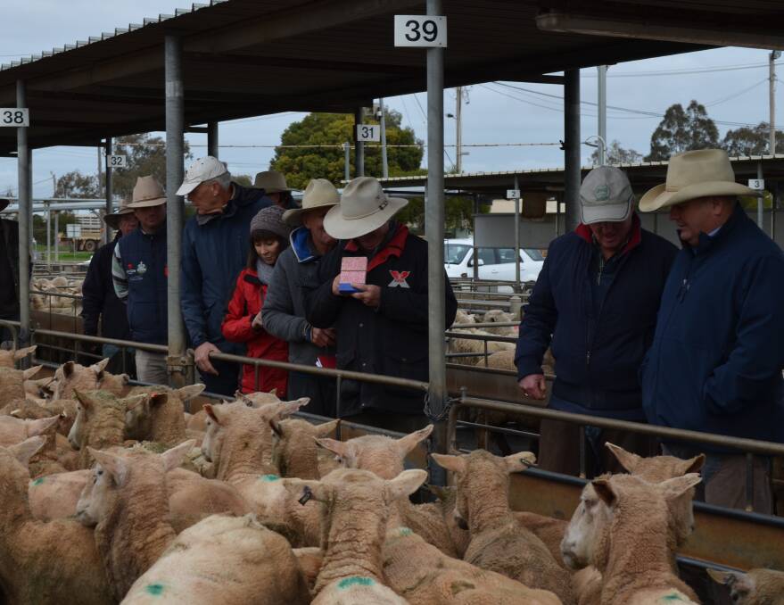 AT THE RAIL: Buyers place their bids during the sheep sale at the Wagga Livestock Marketing Centre on Thursday. 