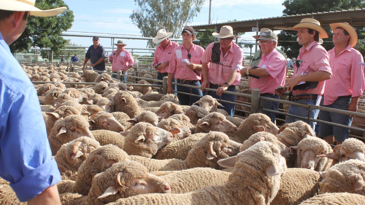 Livestock agents at the rail at the Wagga sheep sale. Picture: Nikki Reynolds