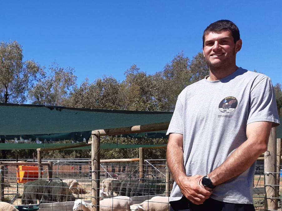 EFFECTIVE MEASURES: Charles Sturt University PhD candidate Thomas Keogh aims to understand current practices and identify constraints to growth rates to guide further research to improve lamb feedlot performance. 