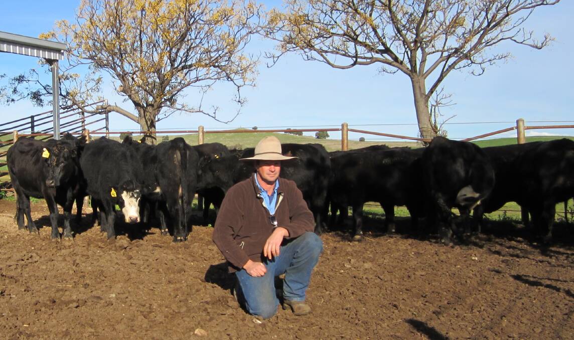 PUSHING THE BOUNDARIES: Simon Matear of Wantabadgery Station in southern NSW with some of the family’s cattle.
