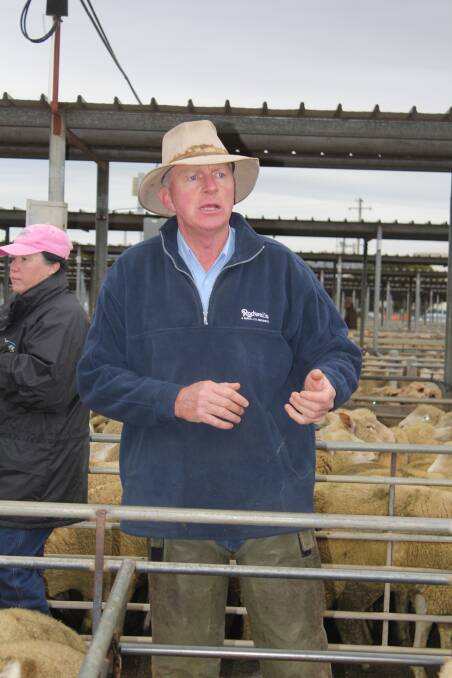 Auctioneer Anthony Cummins takes the bids at the Wagga sheep and lamb sale. Picture: Nikki Reynolds