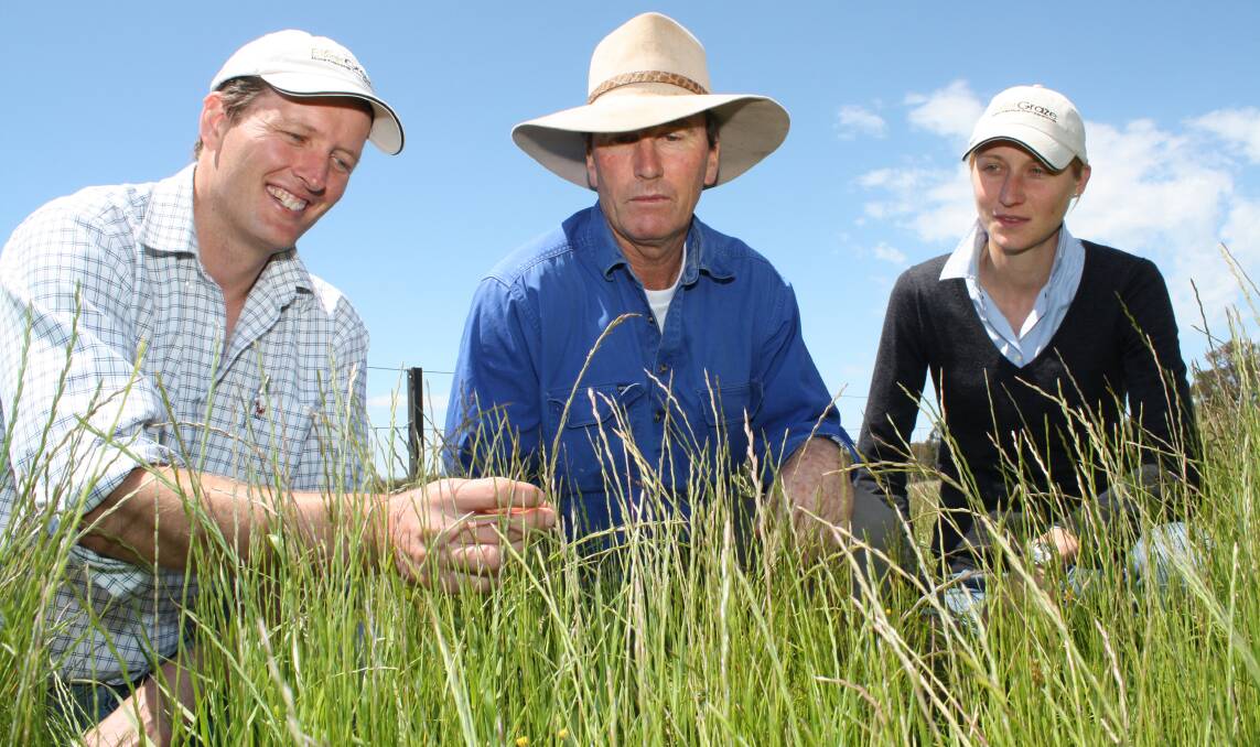 NSW Department of Primary Industries researcher Dr Warwick Badgery inspects the  EverGraze research trial with grazier and trial advisory panel member Johns Rowlands and former NSW DPI researcher Dr Felicity Cox. 