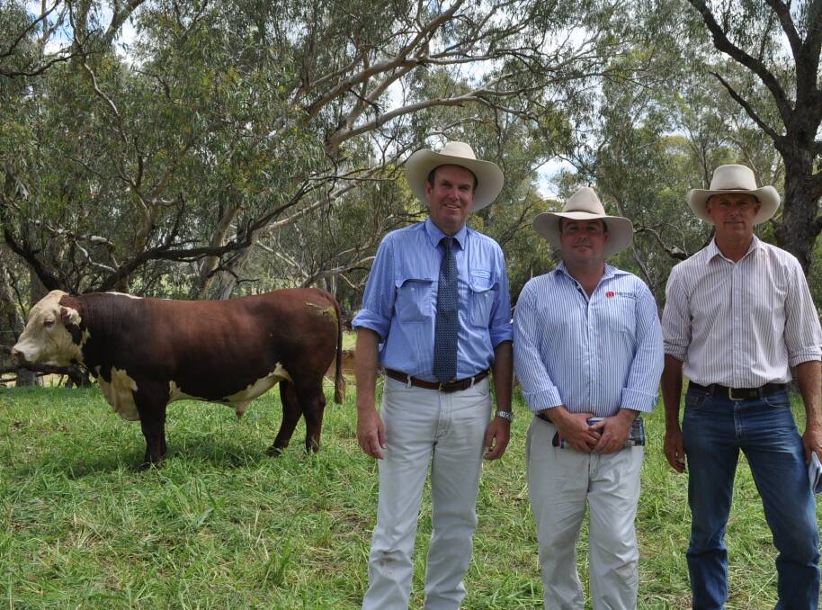 DEMAND: Paul Dooley, Marc Greening and top priced buyer Steve Reid, Millmerran, Queensland with the $32,000 bull. Picture: Brett Tindal
