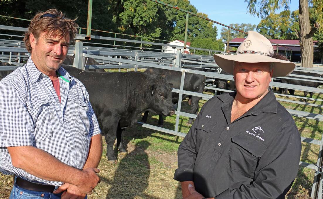 GENETIC RESULTS: Michael Houston, Houston Pastoral, Burrowye, and Reiland co-principal Mark Lucas with the equal top price bull, Reiland Locke L746, at the stud’s autumn bull sale.
