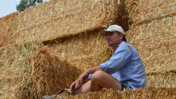 DEPENDING ON FODDER: The man best known for transporting hay to the areas of Australia where it is needed, Brendan Farrell of Burrumbuttock. 