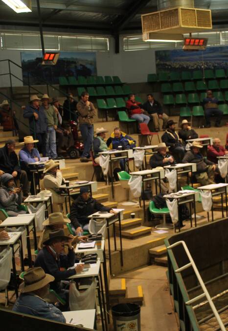 BUYER'S GALLERY: The buyers sit ringside at the Wagga Livestock Marketing Centre during the cattle sale on Monday. 