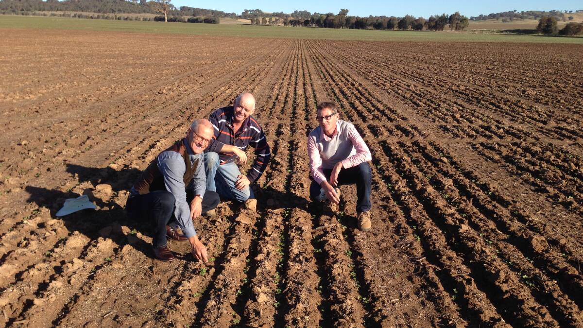 SEASONAL SUCCESS: DuPont South East Asia vice president Dr Bill Niebur visits Wagga farmer, Andrew Dumaresq and is pictured in a crop of canola with Pioneer research scientist Dr Ray Cowley of Wagga.