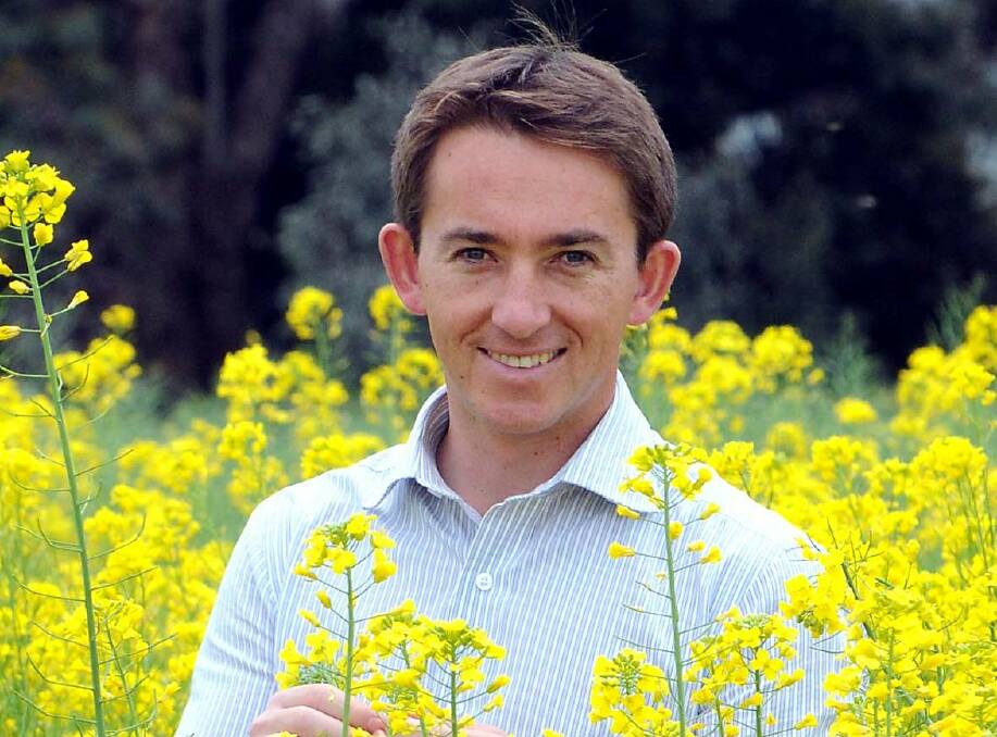 FIELDS OF GOLD: Rural consultant Chris Minehan of Wagga is pictured in a canola crop.