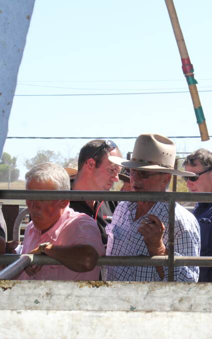 PLACING THEIR BIDS: Buyers at the rail during the sale of store pens at Wagga. Picture: Nikki Reynolds 