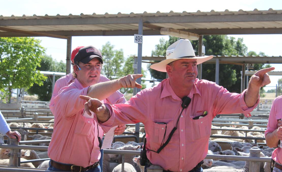 TAKING THE BIDS: Will Stoddart of Elders Wagga and John Crawford of Elders Cootamundra are at the rail. Picture: Nikki Reynolds